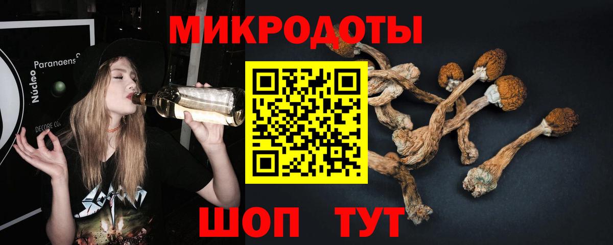 Муром  Галлюциногенные грибы прущие грибы  Вход с VPN 